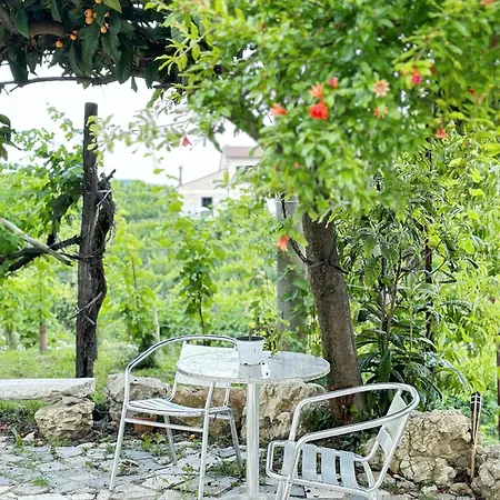 Parisi -